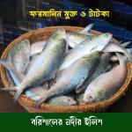 বরিশালের নদীর ইলিশ মাছ (ফরমালিন মুক্ত ও টাটকা) - মিনিমাম অর্ডার ২ কেজি। মাছ অনুযায়ী ওজন কম বেশী হতে পারে (প্রি-অর্ডার)